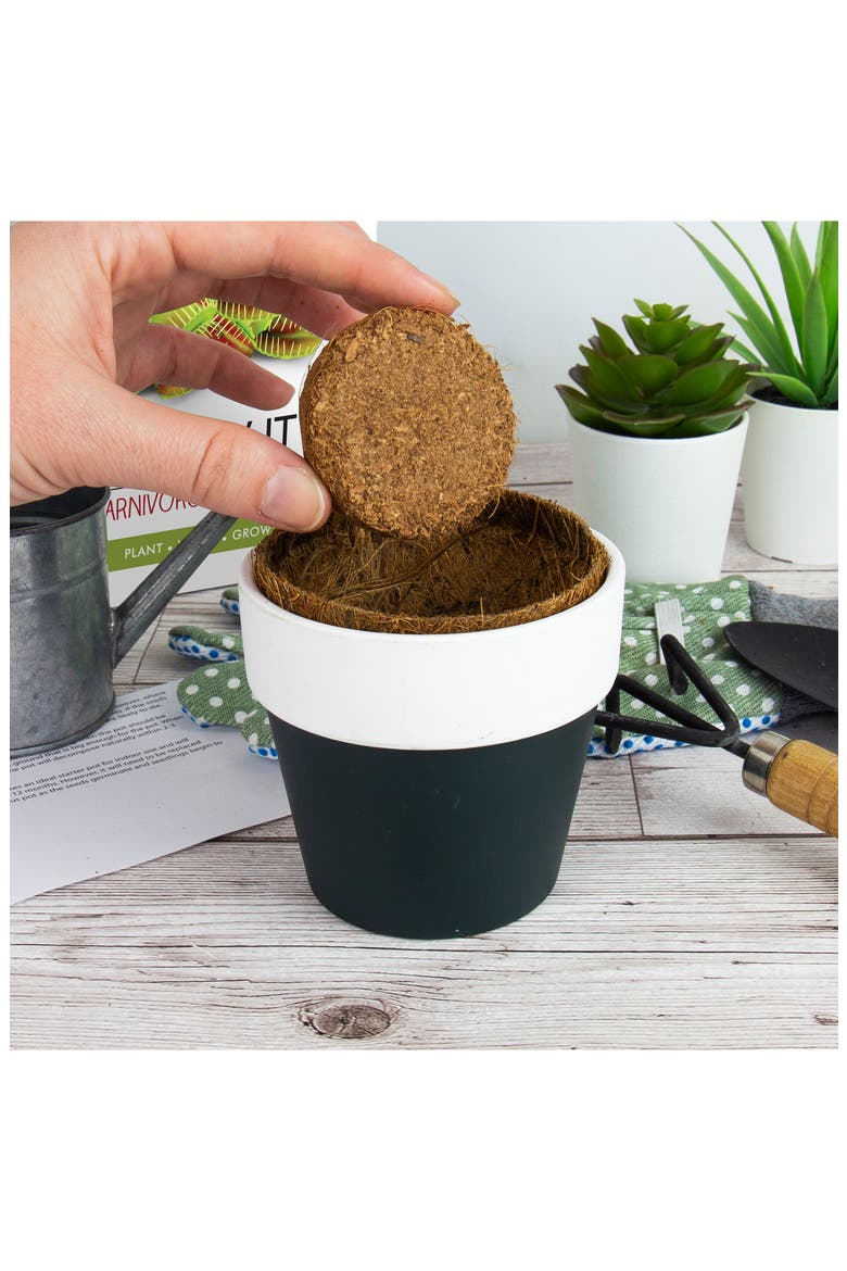 Canivorous Plant Grow Kit, Alternate, color, NO COLOR