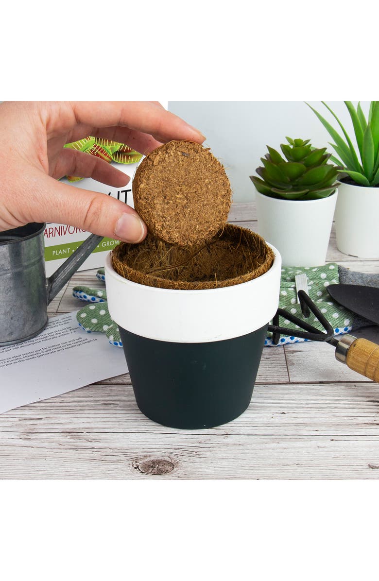 GIFT REPUBLIC Canivorous Plant Grow Kit, Alternate, color, 