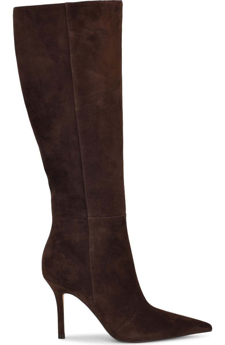 Nine West Gerty Pointed Toe Knee High Boot, Alternate, color, Dark Brown 200