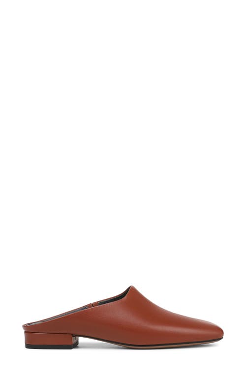 Franco Sarto Daley Mule In Brown