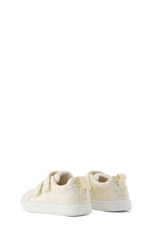 Toms Kids' Cruz Sneaker In Brown