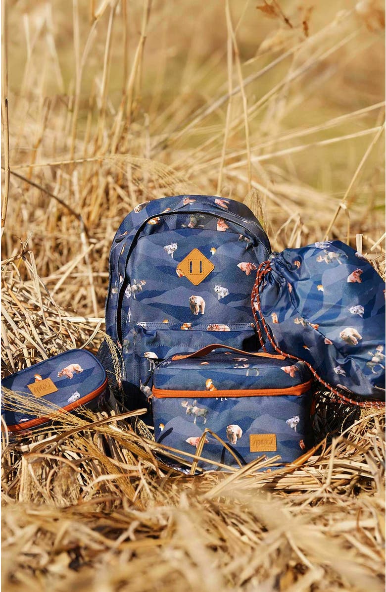 Deux par Deux Boy's Pencil Case Navy Printed Moutains Animals, Alternate, color,