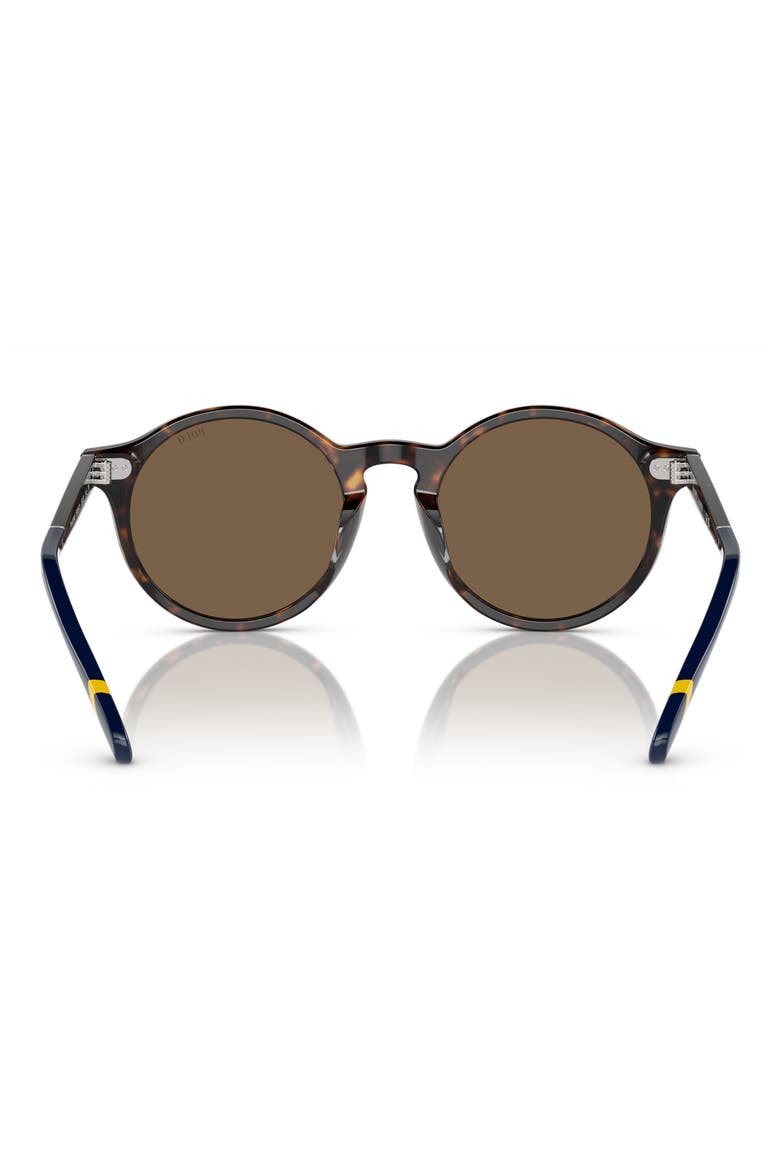 PH4204U 53mm Round Sunglasses, Alternate, color, SHINY DARK HAVANA / BROWN