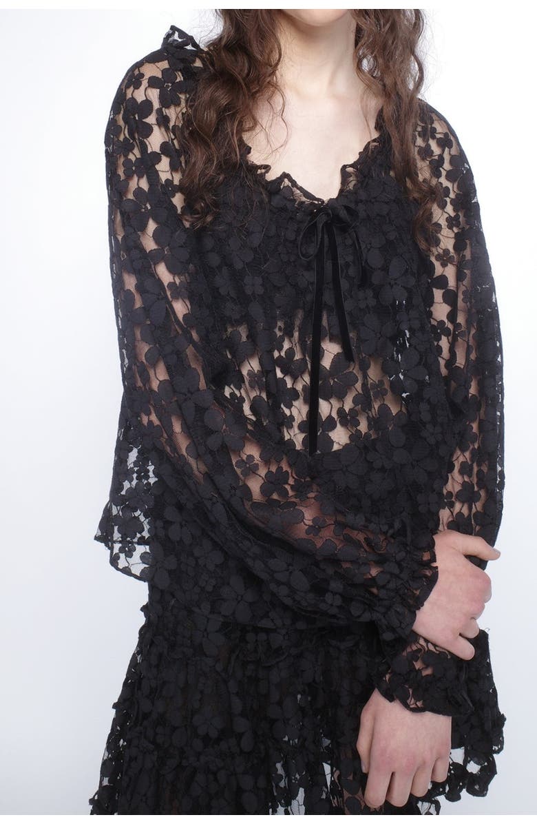 Anna Sui Shadow Blossom Tulle Elastic Lace Blouse, Alternate, color,