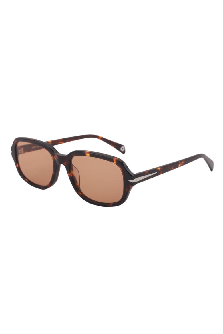 Dusk Sunglasses, Alternate, color, Tortoise - Tinted Bronze