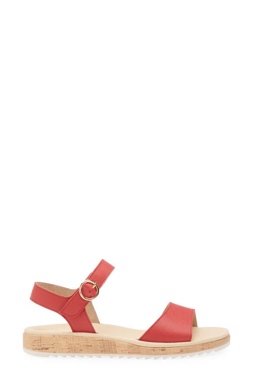 Paul Green Tippi Ankle Strap Platform Wedge Sandal In Salsa Leather