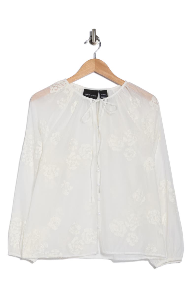 Forgotten Grace Embroidered Babydoll Top, Main, color,