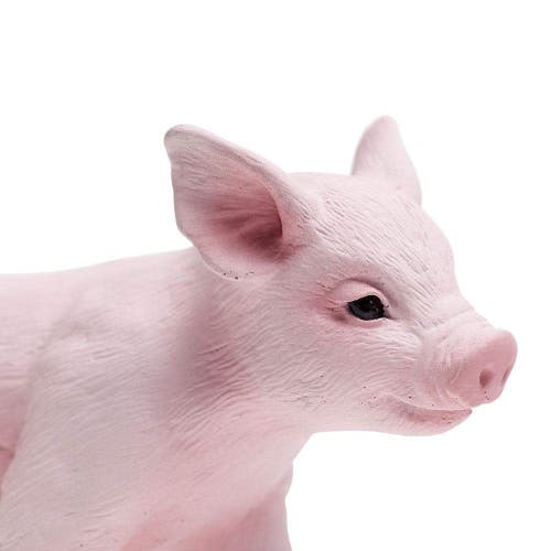 Safari Ltd. Piglet