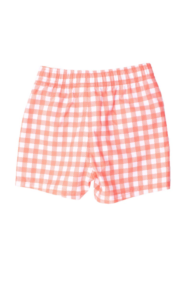 Baby/Toddler Boys UPF50+ Gingham Swim Trunks, Alternate, color, Coral Gingham