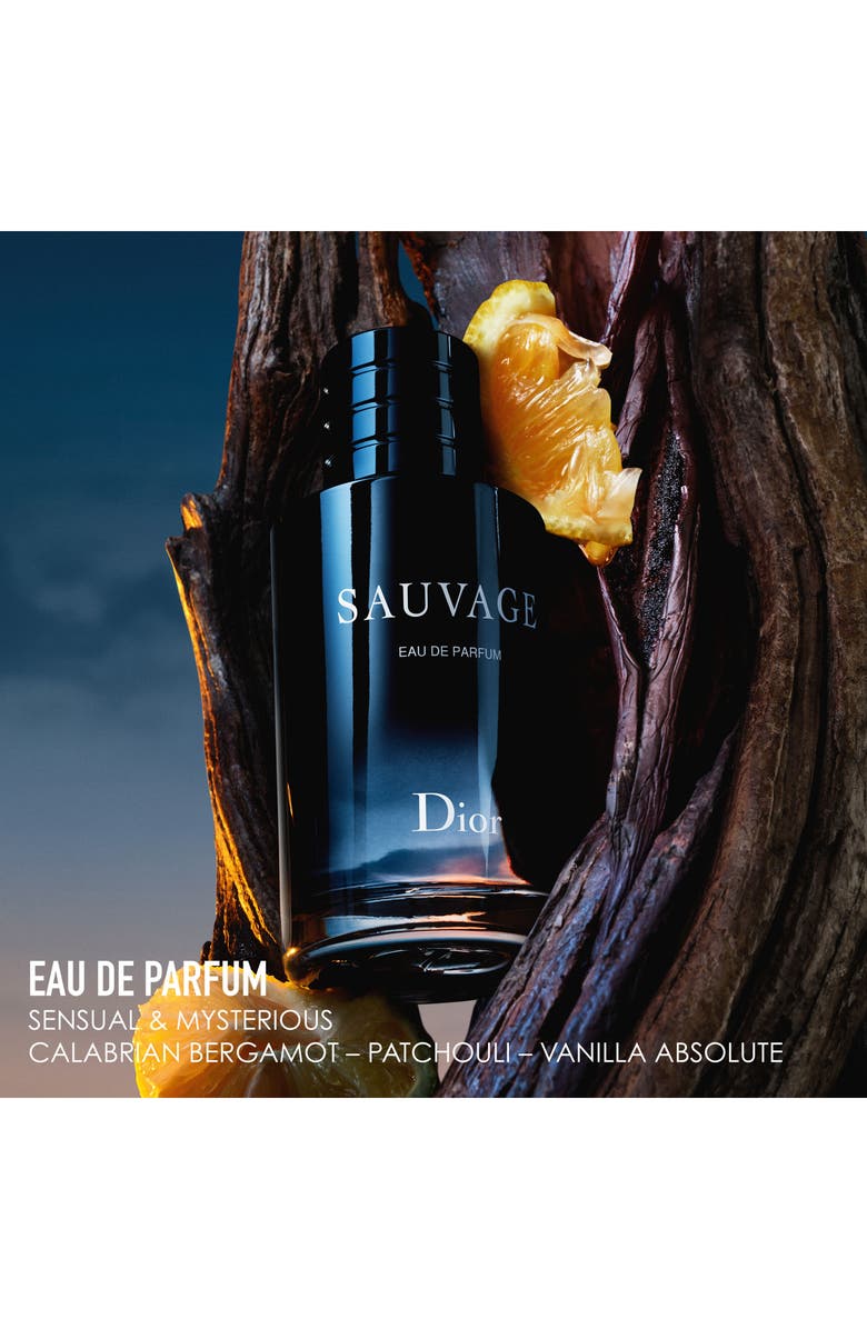 DIOR Sauvage Eau de Parfum Travel Fragrance Set, Alternate, color, 