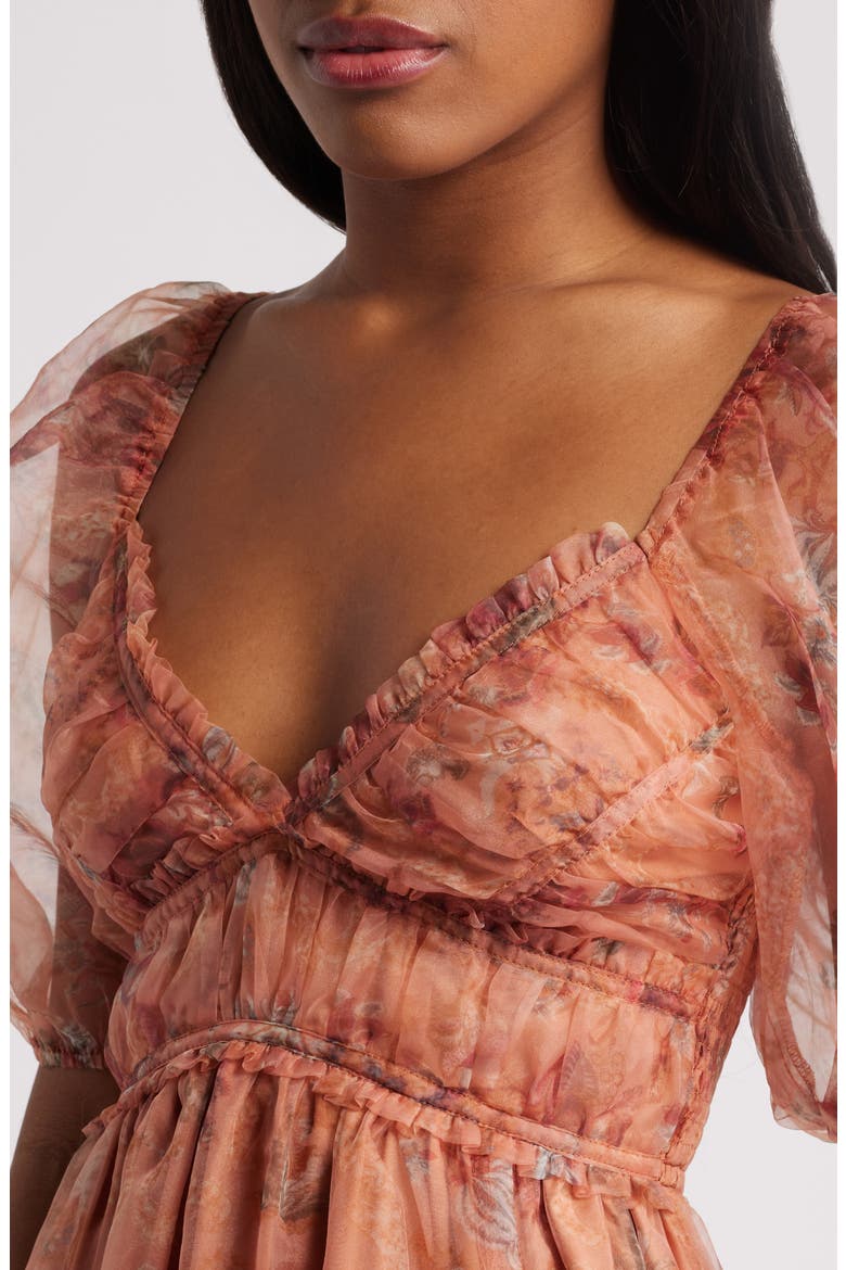 Daphne Floral Print Organza Gown, Alternate, color, RUSTY ROSE FLORAL