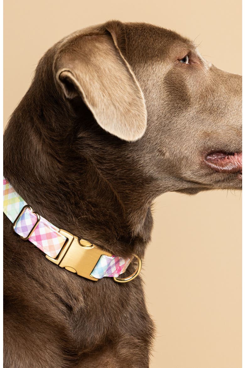 Minka Dog Collar, Alternate, color, Minka