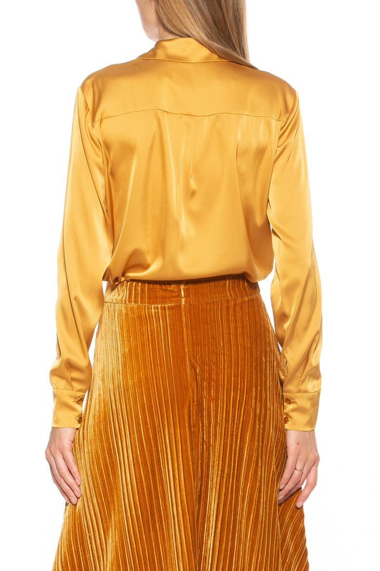 Long Sleeve Button-Up Shirt, Alternate, color, MARIGOLD