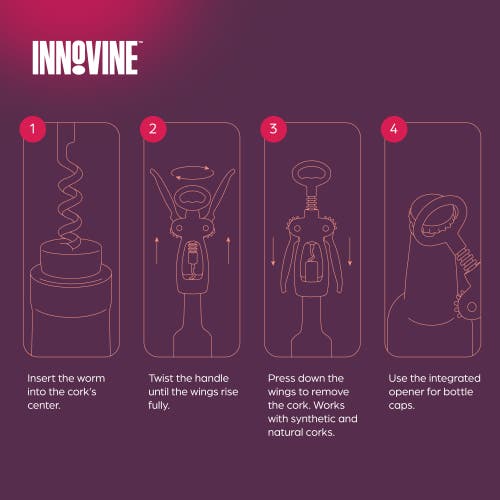 Innovine Winged Corkscrew In Silver