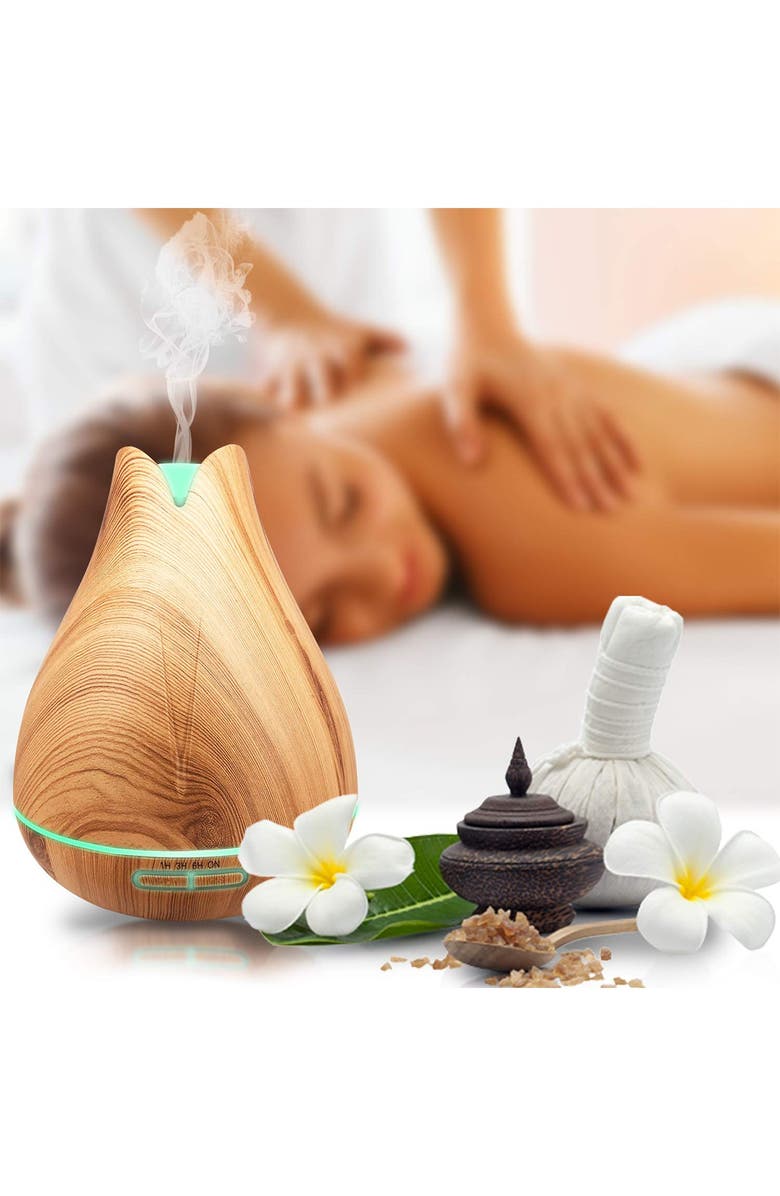 PURE DAILY CARE Aromatherapy Ultrasonic Diffuser with 20 Essential Plant Oils, Alternate, color,