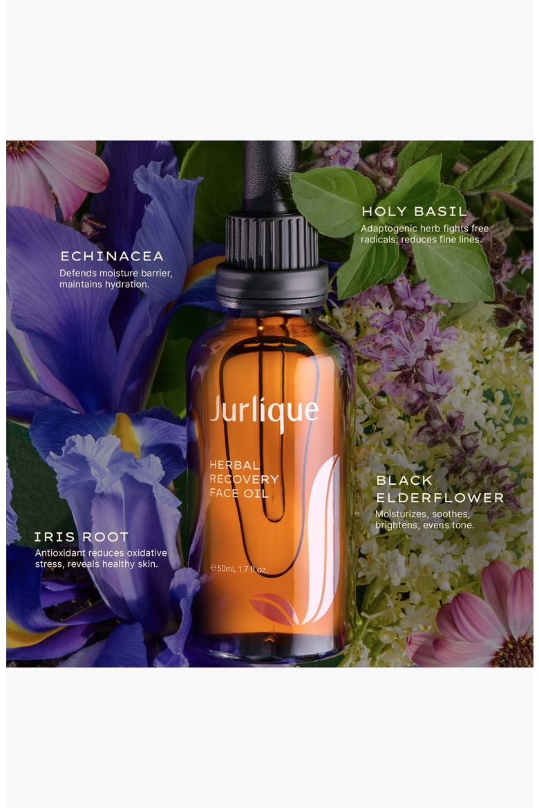 Herbal Recovery Face Oil, Alternate, color, None