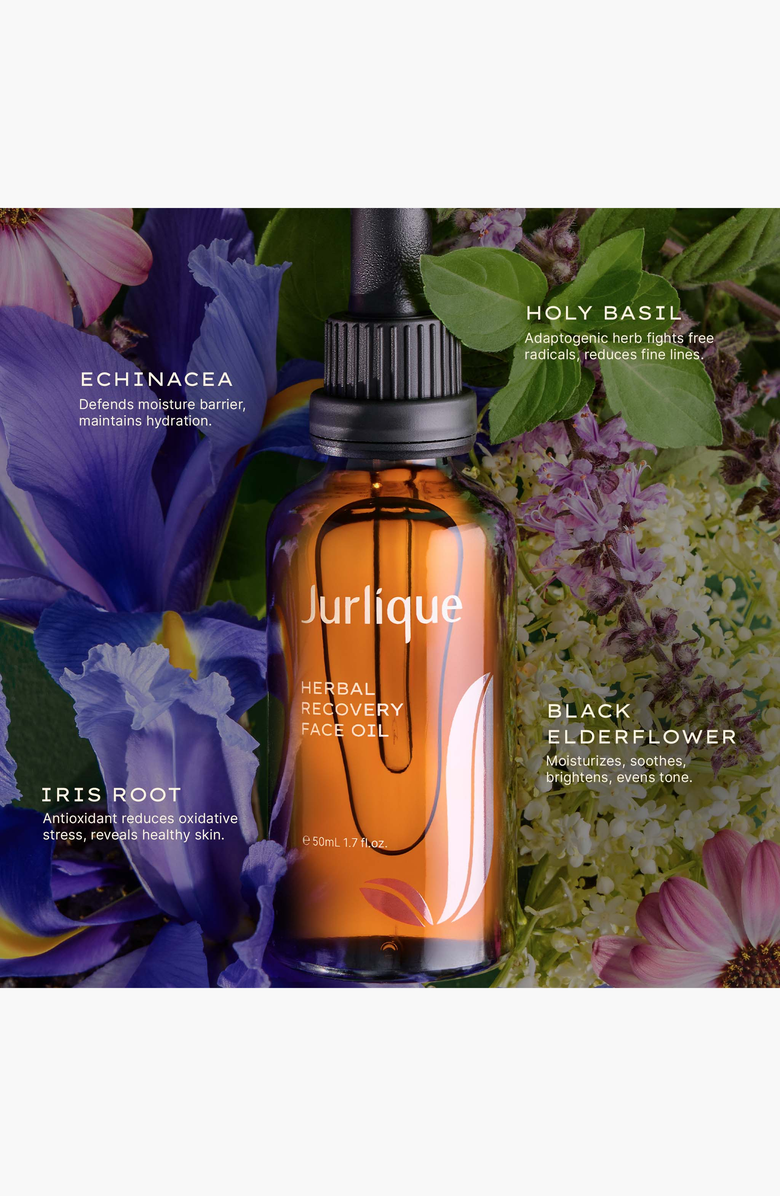 JURLIQUE Herbal Recovery Face Oil, Alternate, color, NO COLOR