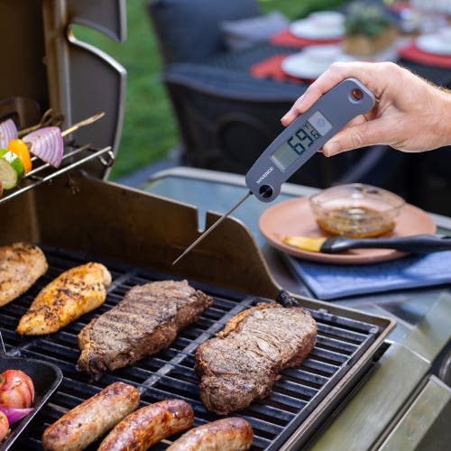 Maverick Extra Large Lcd Thermocouple Thermometer In Blue