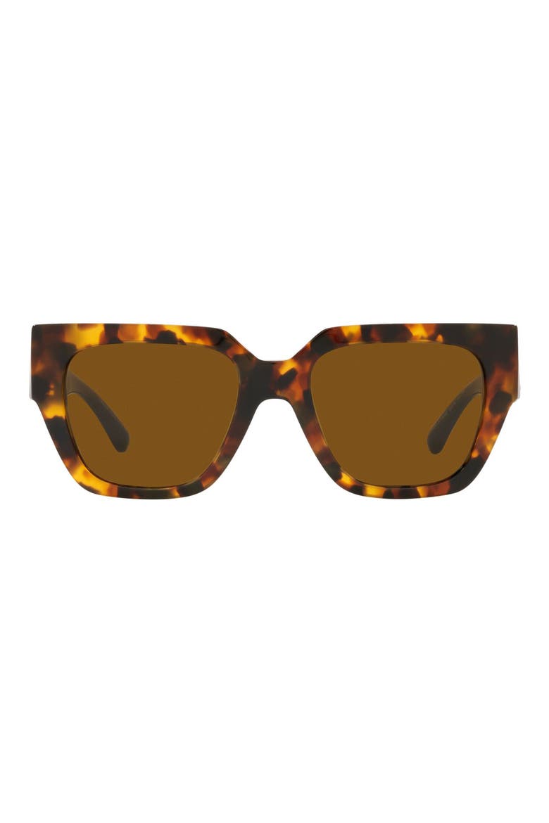 53mm Square Sunglasses, Main, color, HAVANA/DARK BRONZE