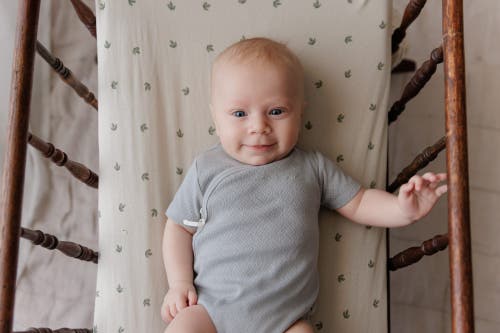 Ely's & Co. Organic Cotton Amore Pointelle Collection In Gray