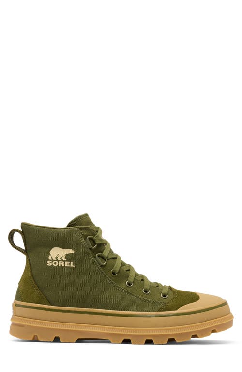 Sorel Scout N About™ Mid Sneaker In Utility Green/gum