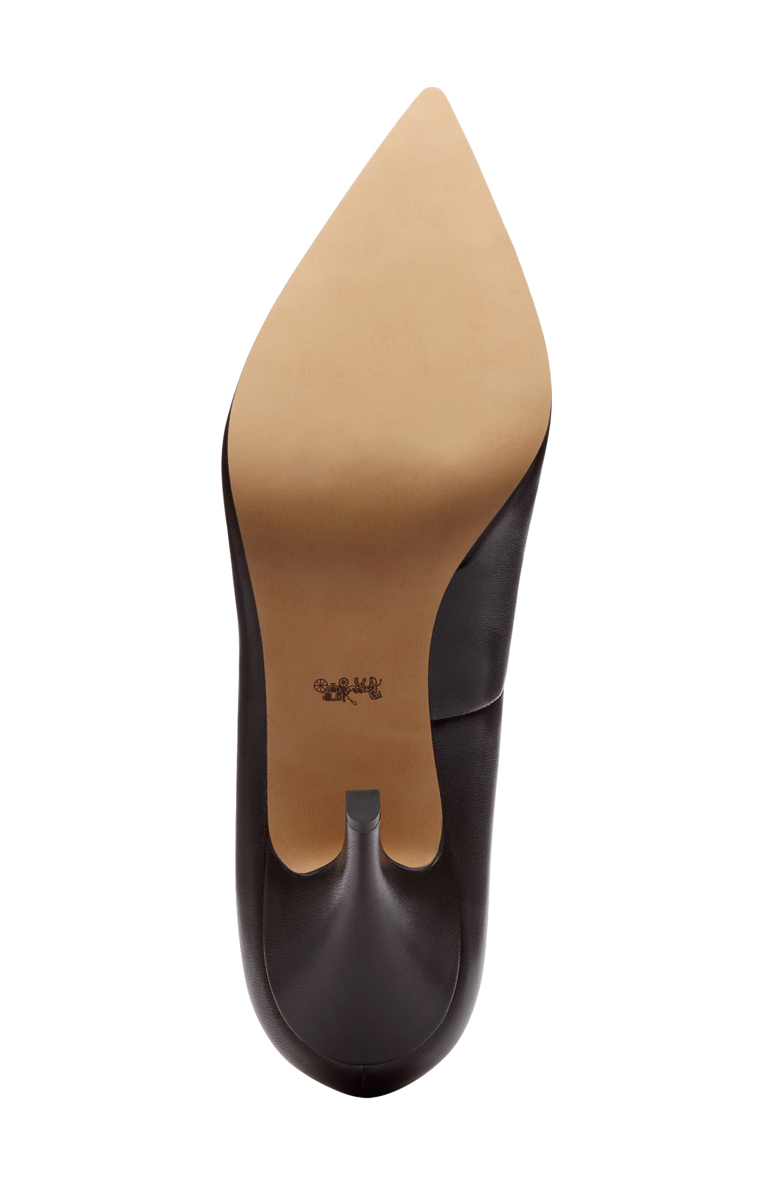 Daisy Pointed Toe Pump, Alternate, color, CHOCOLATE