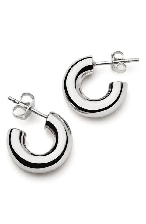 Small Chubby Hoop Earrings