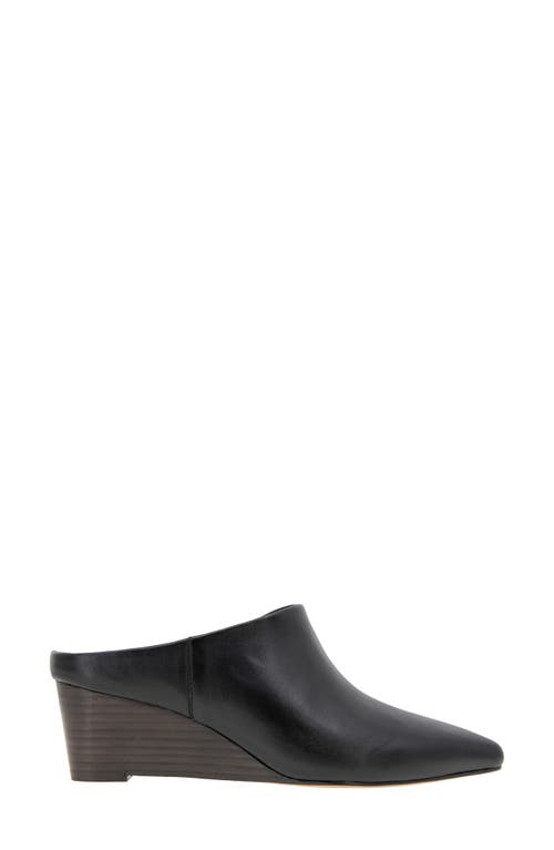 Andre Assous André Assous Wyatt Wedge Mule In Black