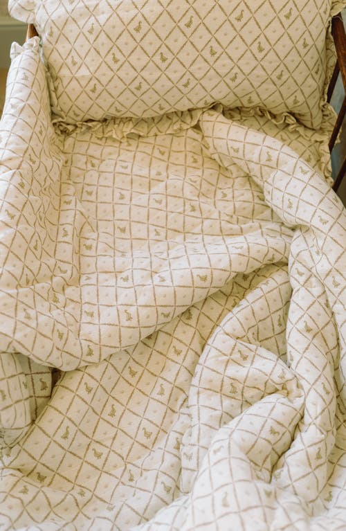 Oilo Organic Cotton Muslin Quilt & Sham Set In Ducks