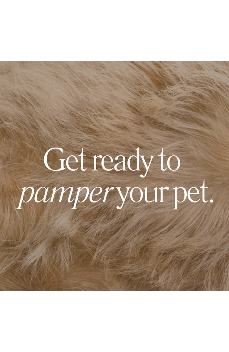 Dexypaws Purrfect Massage Cat Brush, Sage Green, Cat Shaped Comb Head, Pet Care, Alternate, color, Green