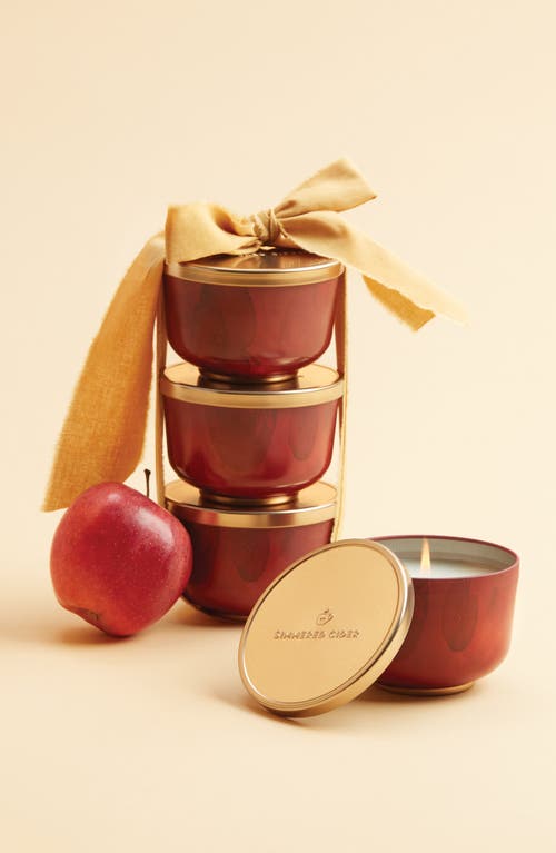 Thymes Simmered Cider Candle Tin In Red