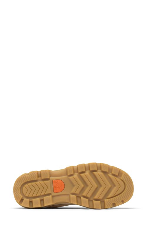 Sorel Scout N About™ Low Sneaker In Chalk/gum 16