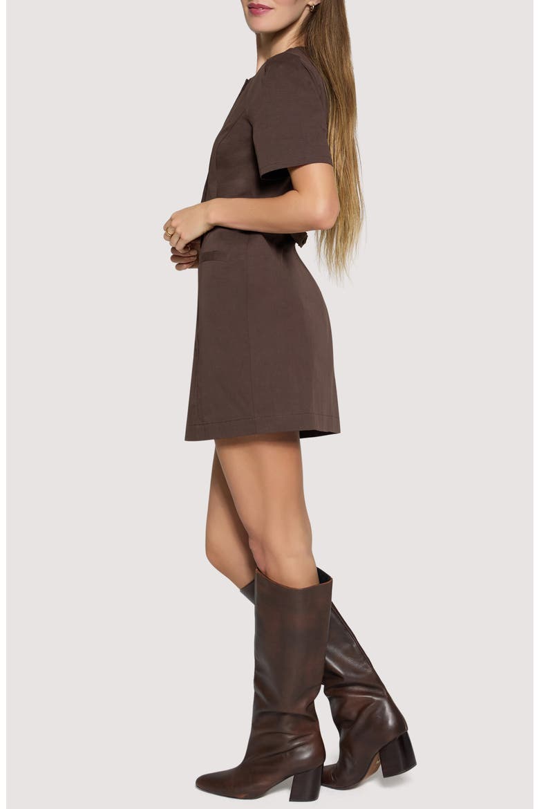 City Vista Cotton Minidress, Alternate, color, DEEP-BROWN