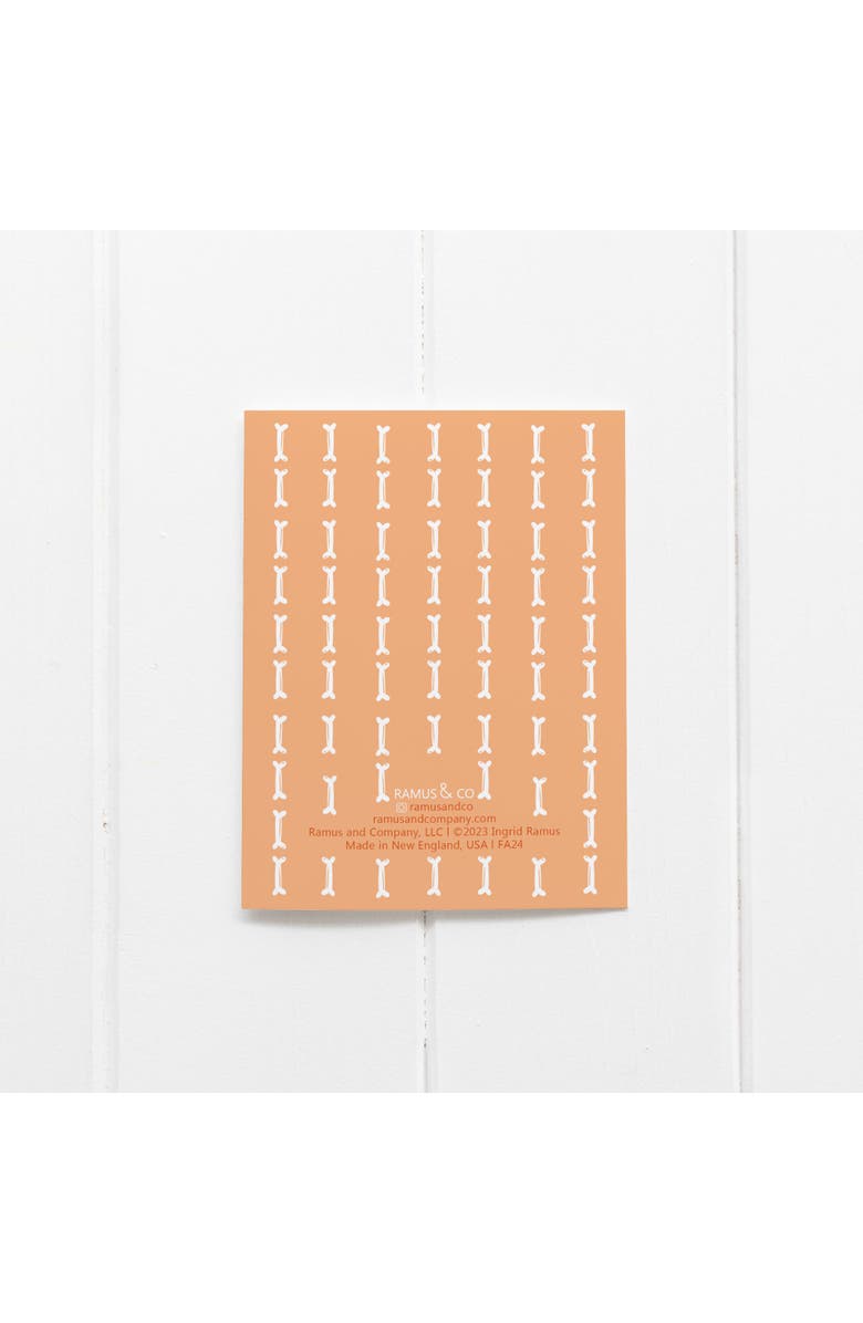 Ramus & Co Fall/Halloween Greeting Card Pack Sets (3 ct) Cat Bone Pajamas, Alternate, color, Multi-Pack