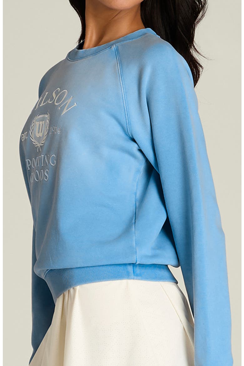 Classic Graphic Crewneck Sweatshirt, Alternate, color, ALLY BLUE