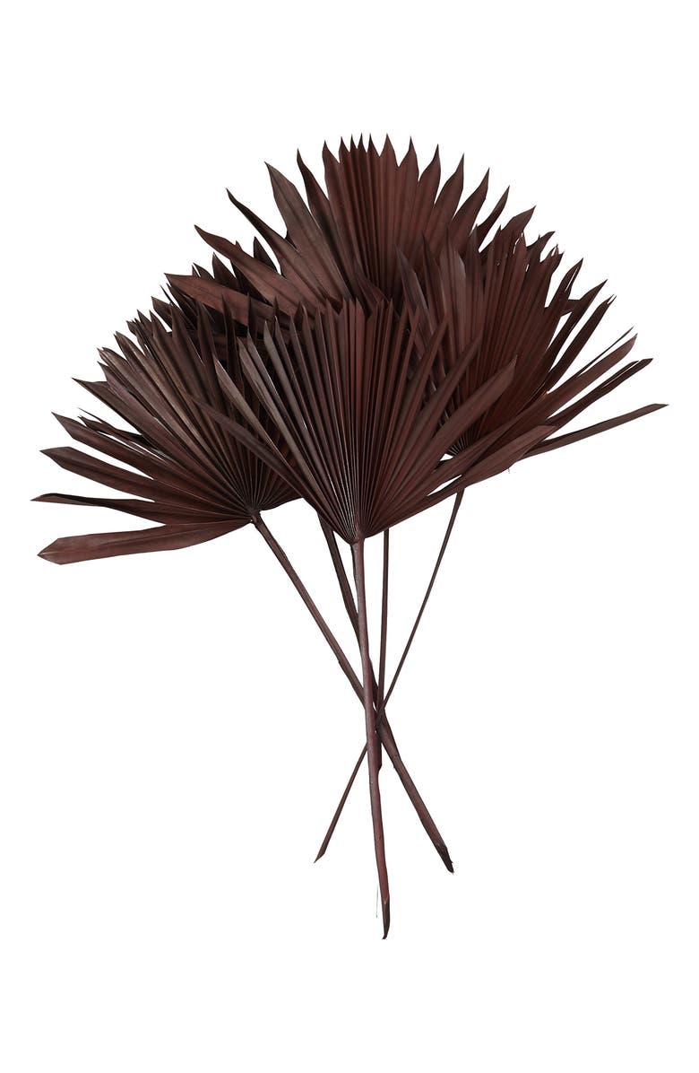 Novogratz Dried Pampas Grass, Alternate, color,