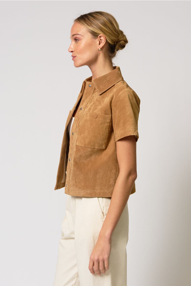 Rusty Genuine Suede Ss Jacket, Alternate, color, Saddle