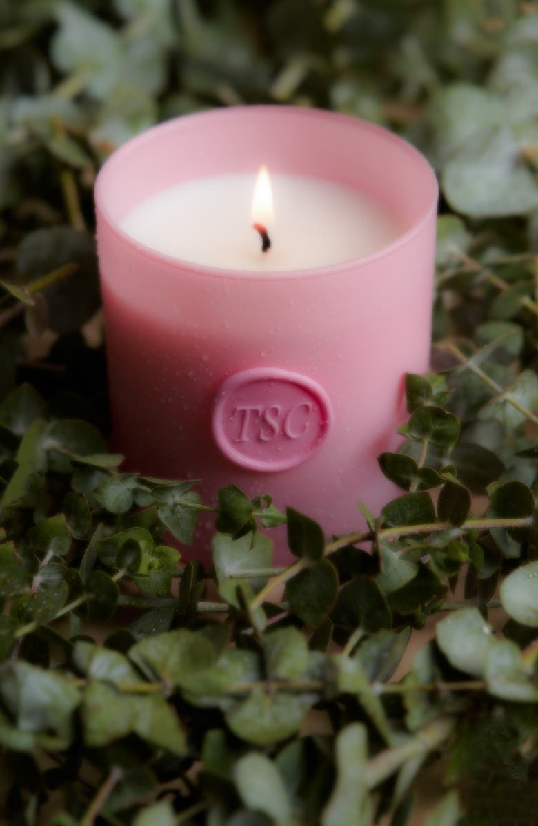 The Skinny Confidential Nontoxic Eucalpytus Candle, Alternate, color,