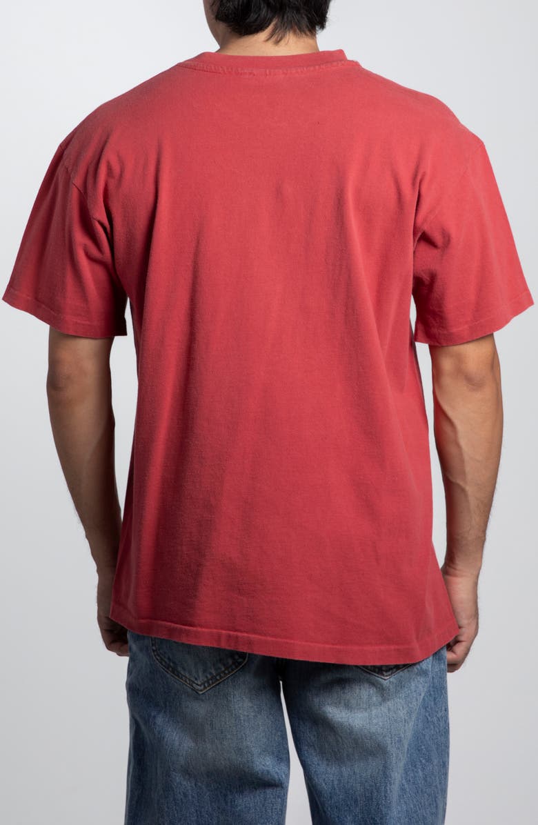 Elwood Vintage Arizona Tee, Alternate, color,
