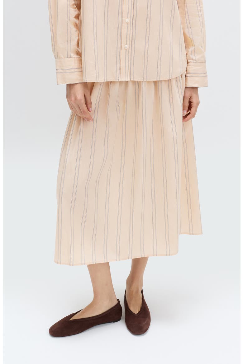Stripe Midi Skirt, Main, color, NATURAL MULTI