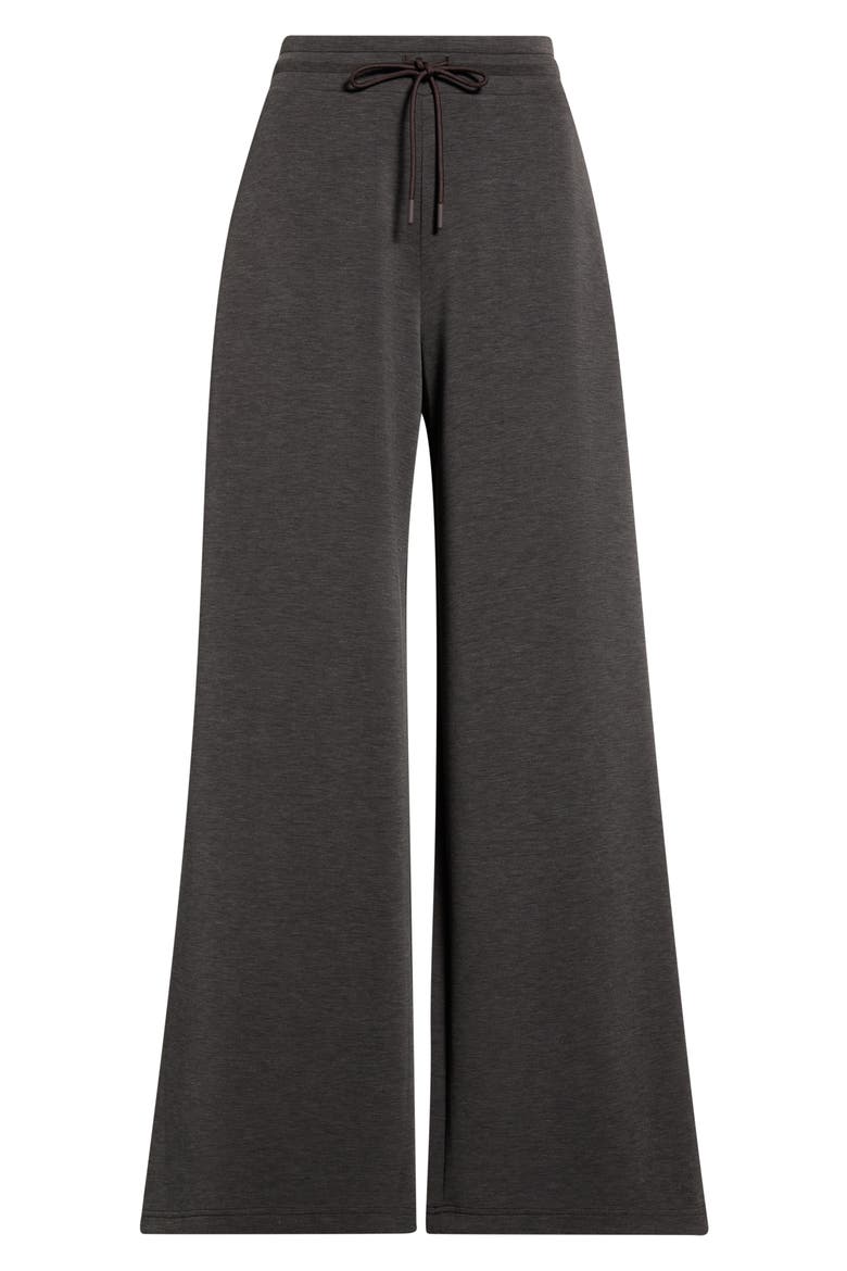 Soft Luxe Wide Leg Pants, Main, color, BROWN MOLE HEATHER