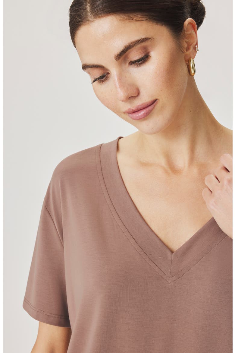 Kacey V-Neck Short Sleeve T-Shirt, Alternate, color, WICKER BEIGE