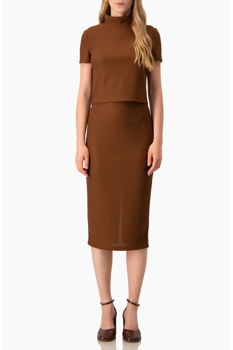 High-Neck Short Sleeve Cropped Top, Alternate, color, Light Brown