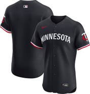 Nike Men's Nike Navy Minnesota Twins Alternate 2 Elite Jersey