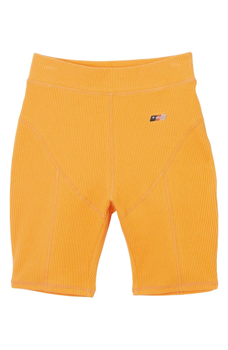 HONOR THE GIFT Command Ribbed Shorts, Main, color,