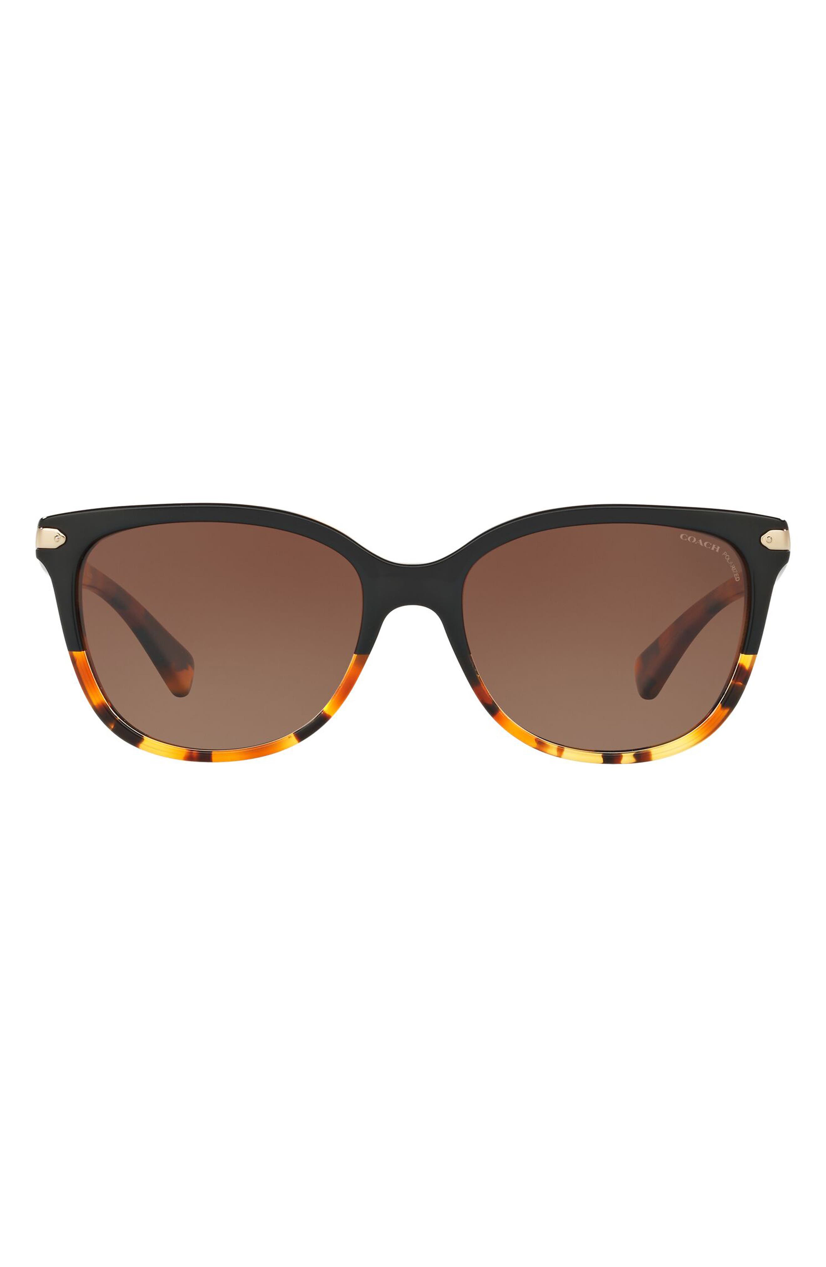 selected BLACK TORTOISE GRADEINT