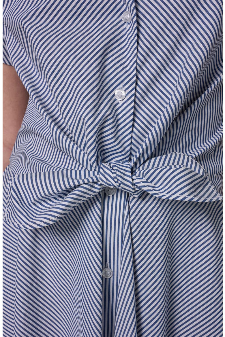 Stripe Midi Shirtdress, Alternate, color, NIGHTFLL/ C