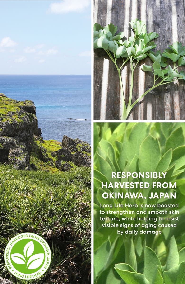 bareMinerals<sup>®</sup> Skinlongevity Long Life Herb Anti-Aging Eye Treatment, Alternate, color,