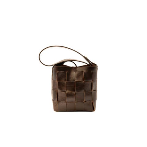 Coyote Handbag
