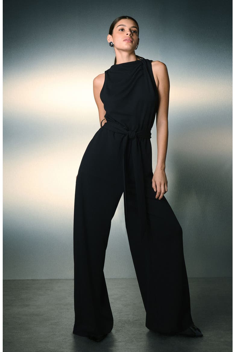 Cowl Neck Jumpsuit, Alternate, color, BLACK
